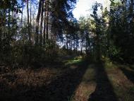 Микуличі з panoramio.com