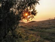 Їжицьке з panoramio.com