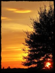 Колісники з panoramio.com