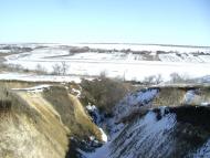 Волошки - Останні фото