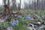 Високопілля з panoramio.com