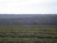 Козацьке з panoramio.com