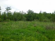 Дулицьке з panoramio.com