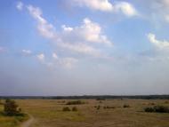 Піщанівка з panoramio.com