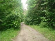 Майдан-Вербецький з panoramio.com