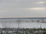 Зелені Курилівці з panoramio.com