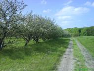 Макіївка з panoramio.com