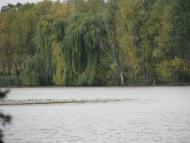 Бухни з panoramio.com