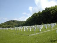 Ясенівці з panoramio.com