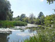 Синичине з panoramio.com