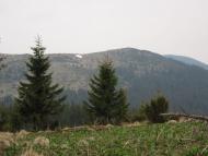 Голошина з panoramio.com