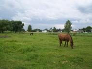 Хорів з panoramio.com