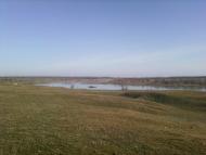 Тамарине з panoramio.com