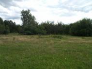 Жиричі з panoramio.com