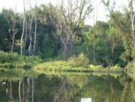 Мала Мочулка з panoramio.com