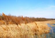 Дмитрівське - Останні фото