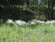 Закітне з panoramio.com