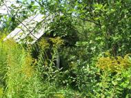 Немильня з panoramio.com