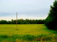 Хлипнівка з panoramio.com