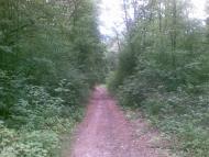 Воловики з panoramio.com