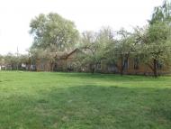 Виблі з panoramio.com