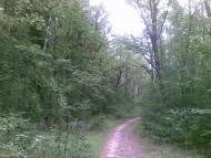 Воловики з panoramio.com