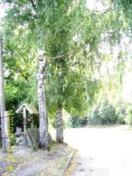 Романівка з panoramio.com