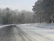 Гамаліївка - Останні фото