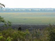 Орлинське з panoramio.com