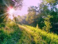 Бузьке з panoramio.com