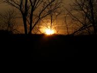 Гамарня з panoramio.com