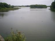 Миронівка з panoramio.com - Мироновка