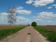 Левковичі з panoramio.com