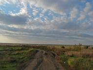 Горошине з panoramio.com