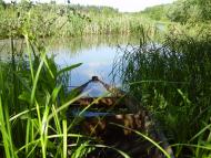 Кирияківщина з panoramio.com