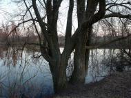 Краснопіль з panoramio.com