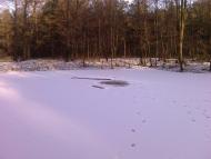 Жиричі з panoramio.com