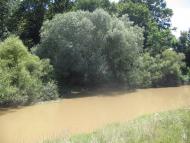 Оклі з panoramio.com