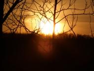 Гамарня з panoramio.com