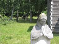 Сирники з panoramio.com