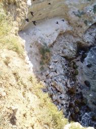 Семисотка з panoramio.com