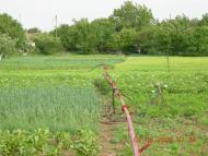 Пересадівка з panoramio.com