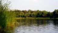 Проточі з panoramio.com