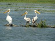 Маяки з panoramio.com