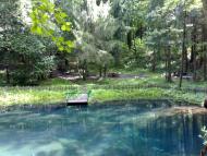 Свеса з panoramio.com