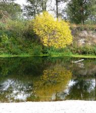 Білики з panoramio.com