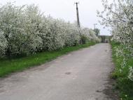 Макіївка з panoramio.com