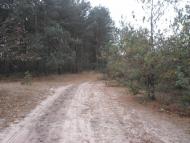 Жиричі з panoramio.com