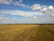 Павлівка з panoramio.com