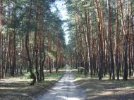 Донецьке з panoramio.com